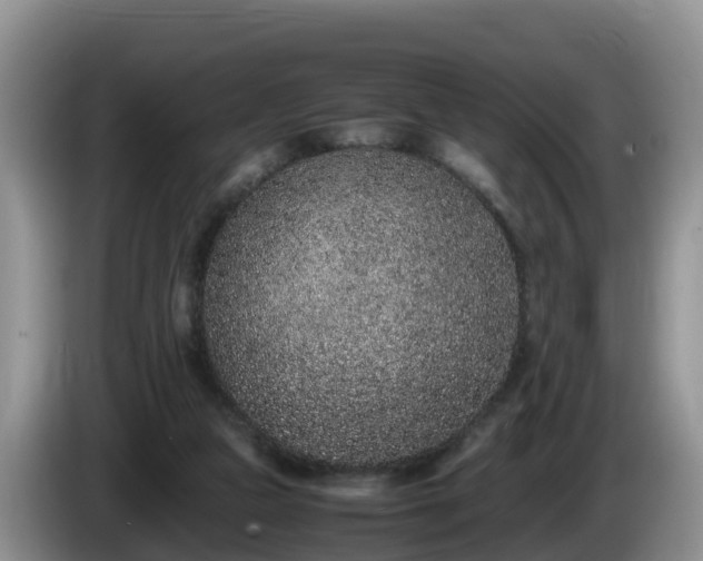 X0000086240161200704051226
