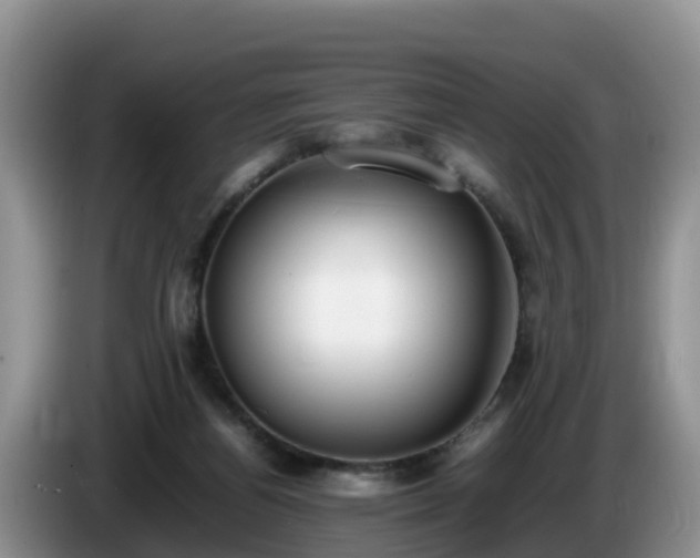 X0000086240164200704051226