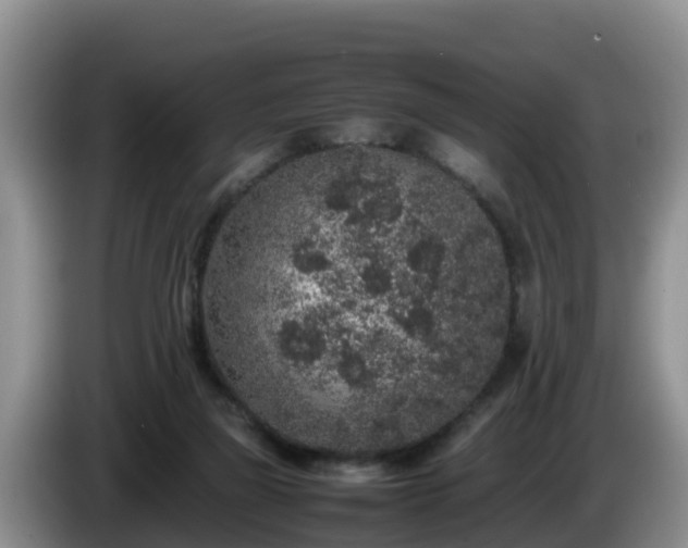 X0000086240165200704051226