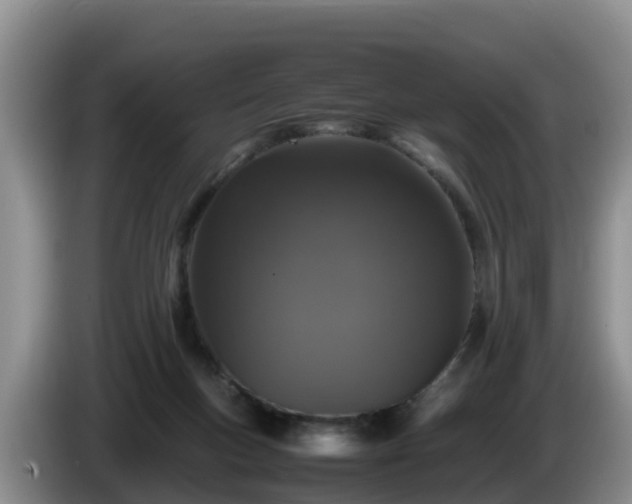 X0000086240167200704051226
