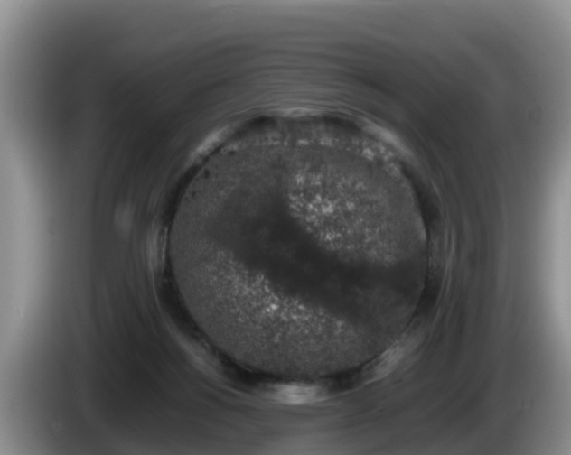 X0000086240168200704051226