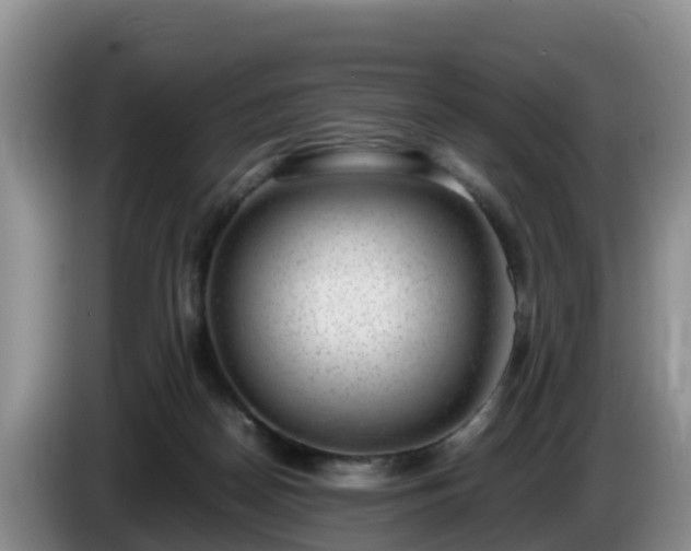 X0000086240170200704051226