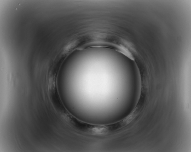 X0000086240172200704051226