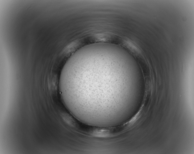 X0000086240174200704051227
