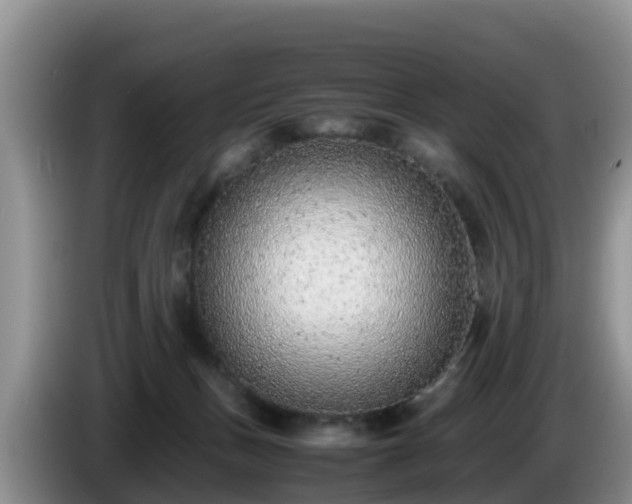X0000086240175200704051227