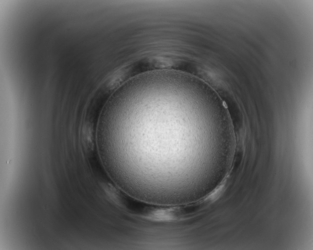 X0000086240178200704051227