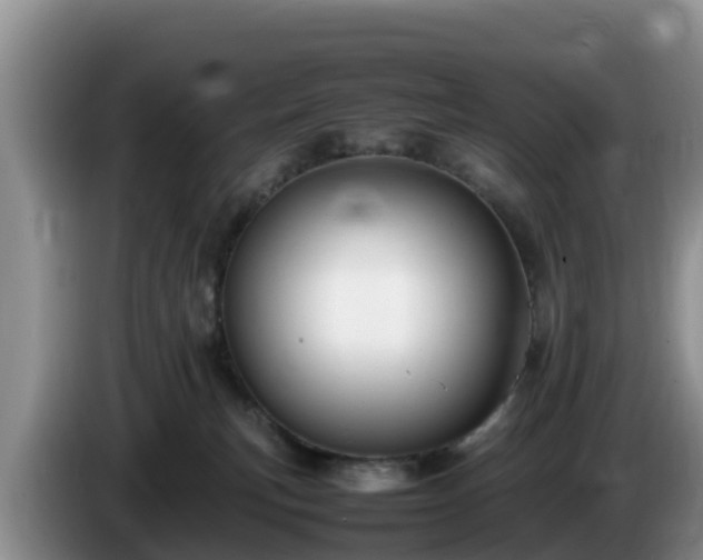 X0000086240183200704051227