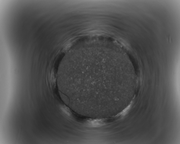 X0000086240186200704051227