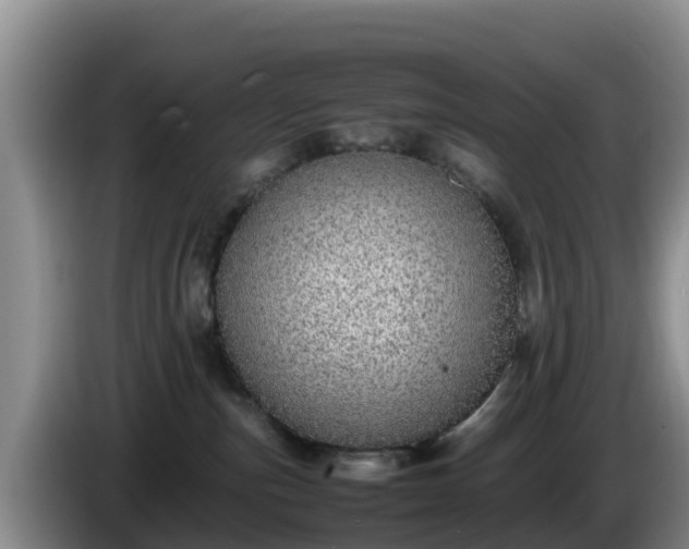 X0000086240187200704051227