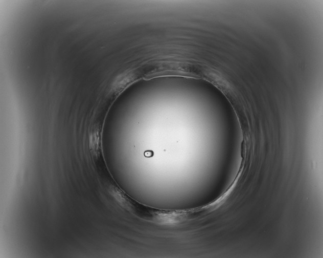 X0000086240190200704051227