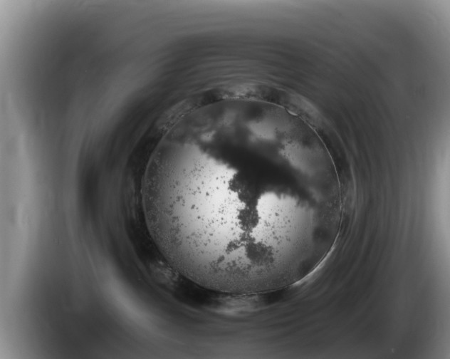 X0000086240191200704051227