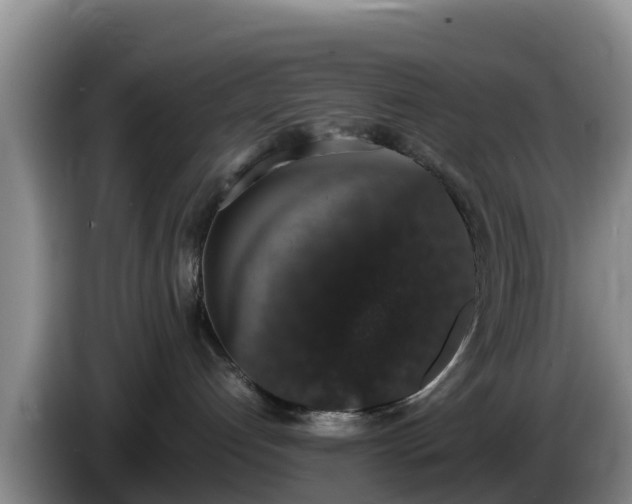 X0000086240192200704051227
