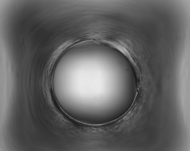 X0000086240193200704051226