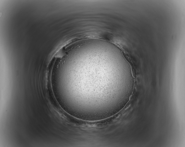 X0000086240194200704051226