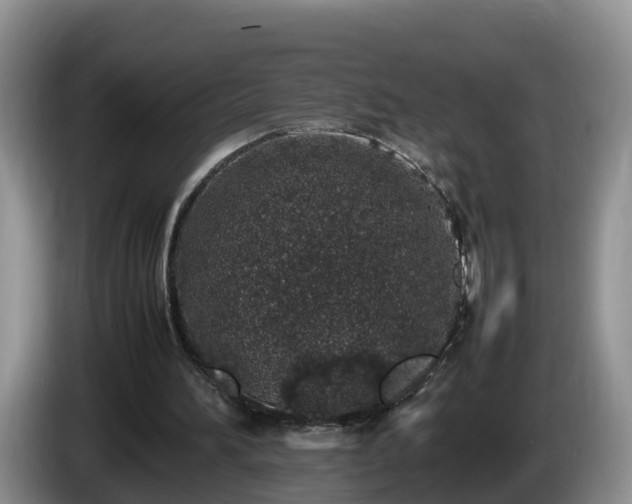 X0000086240196200704051226