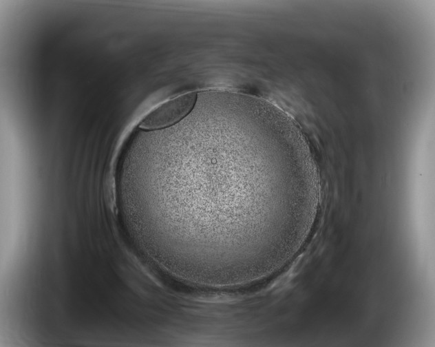 X0000086240198200704051226