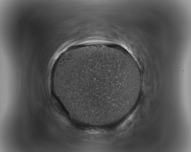 X0000086240199200704051226