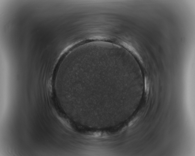 X0000086240204200704051226
