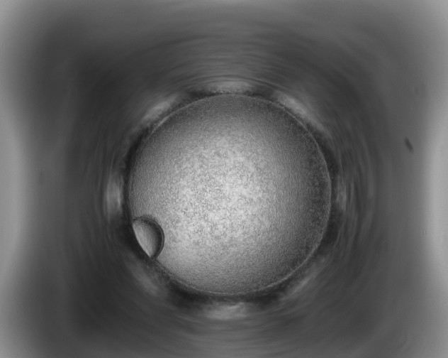 X0000086240206200704051226