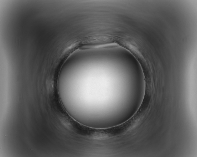 X0000086240207200704051226