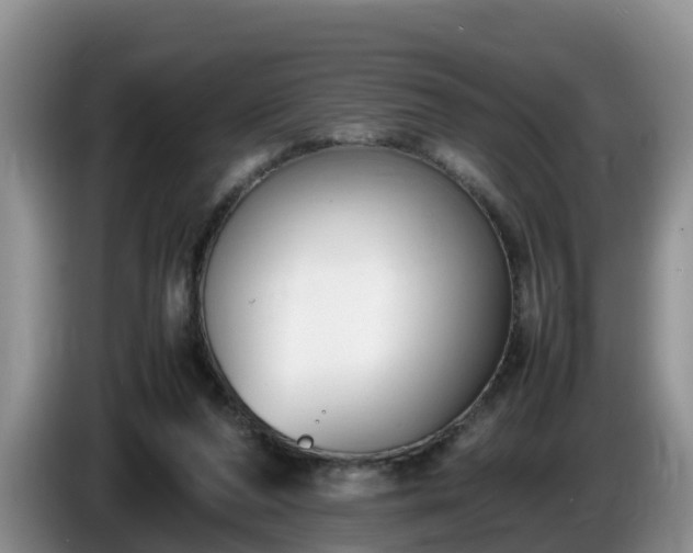 X0000086240208200704051226