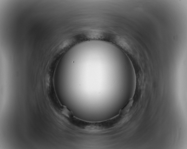 X0000086240211200704051226
