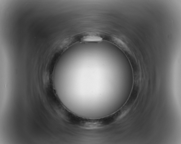 X0000086240213200704051226