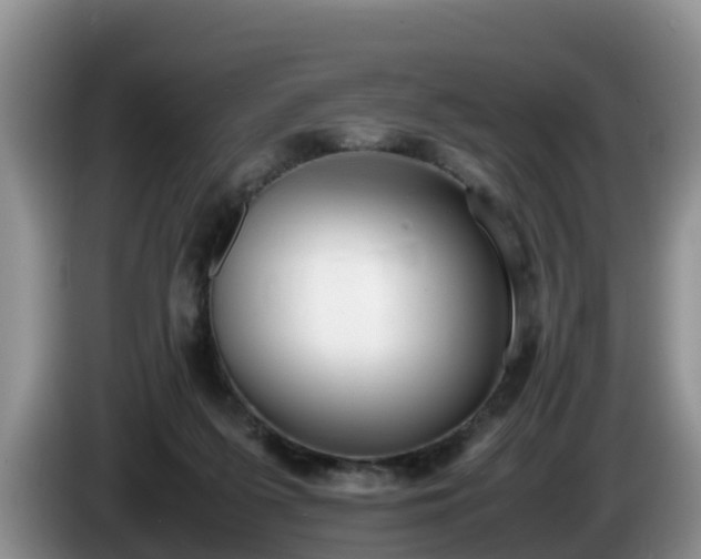 X0000086240215200704051226