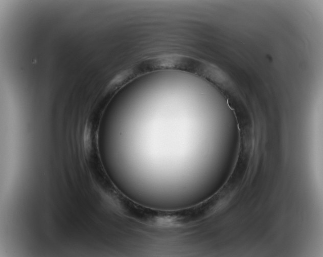 X0000086240216200704051226