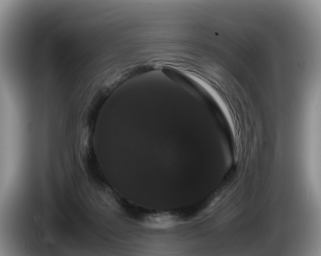 X0000086240219200704051226