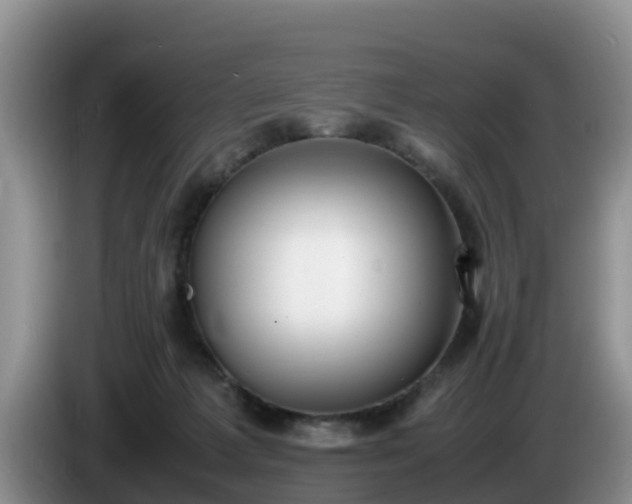 X0000086240221200704051226