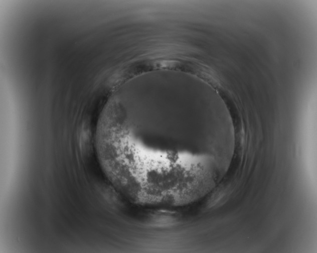 X0000086240222200704051226