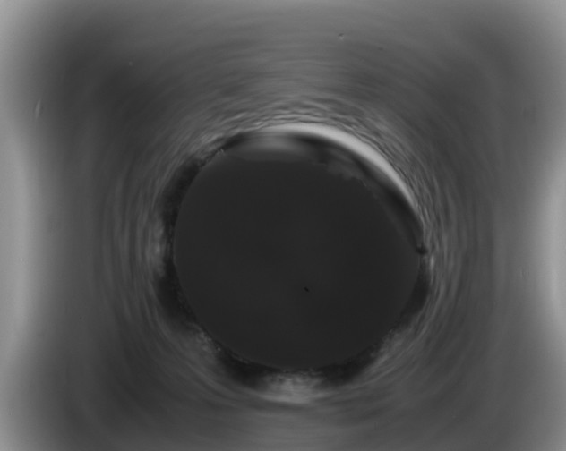 X0000086240223200704051226