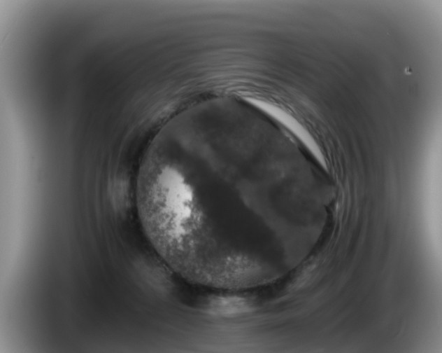 X0000086240224200704051226
