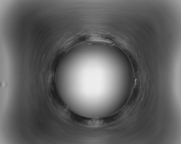 X0000086240225200704051226