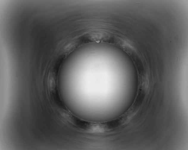 X0000086240226200704051226