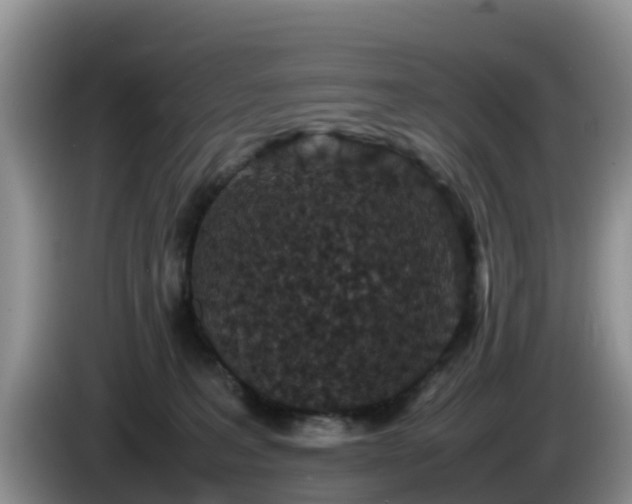 X0000086240227200704051226