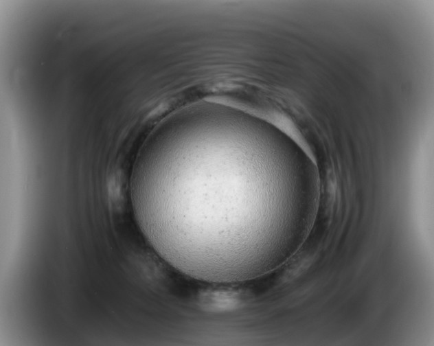 X0000086240228200704051226
