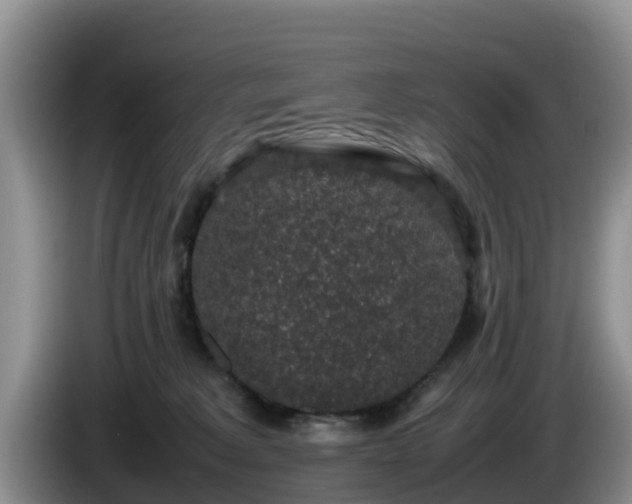 X0000086240229200704051226