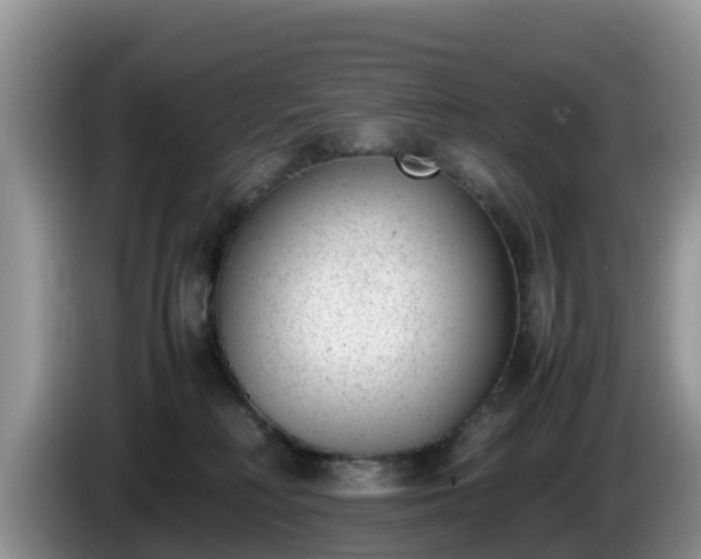 X0000086240230200704051226