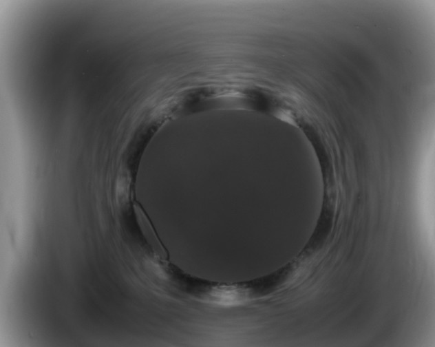 X0000086240231200704051226