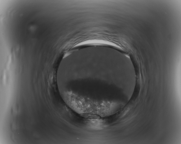 X0000086240233200704051226