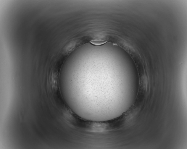 X0000086240234200704051226