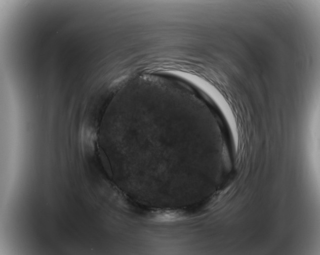 X0000086240235200704051226
