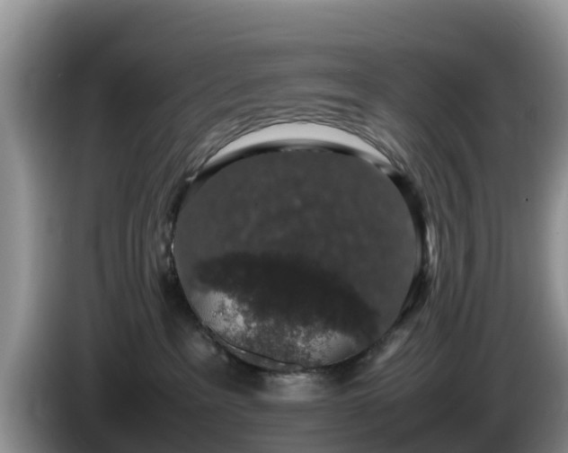 X0000086240237200704051225