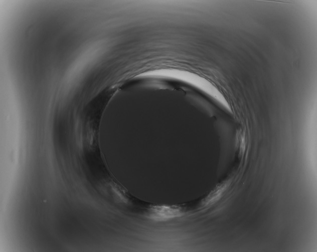 X0000086240239200704051225