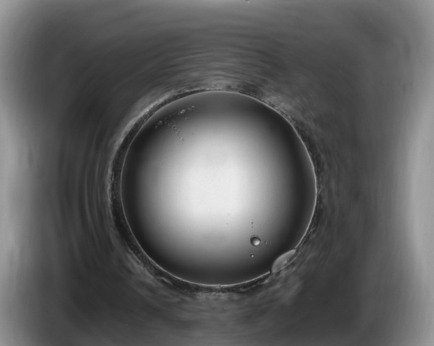 X0000086240242200704051225