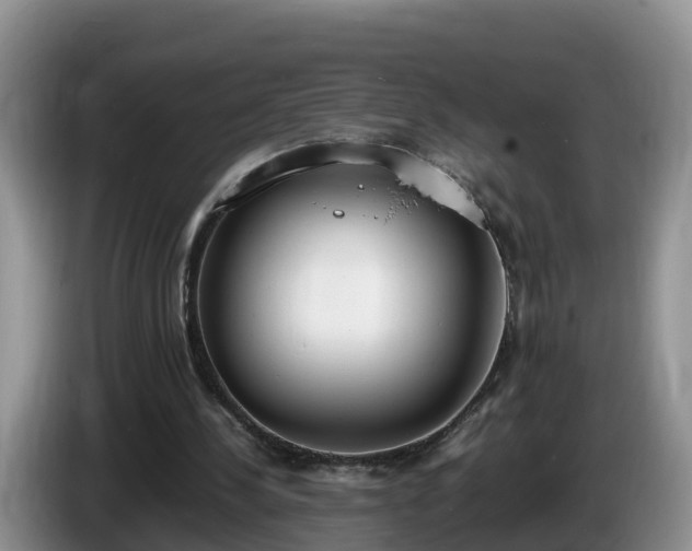 X0000086240244200704051225