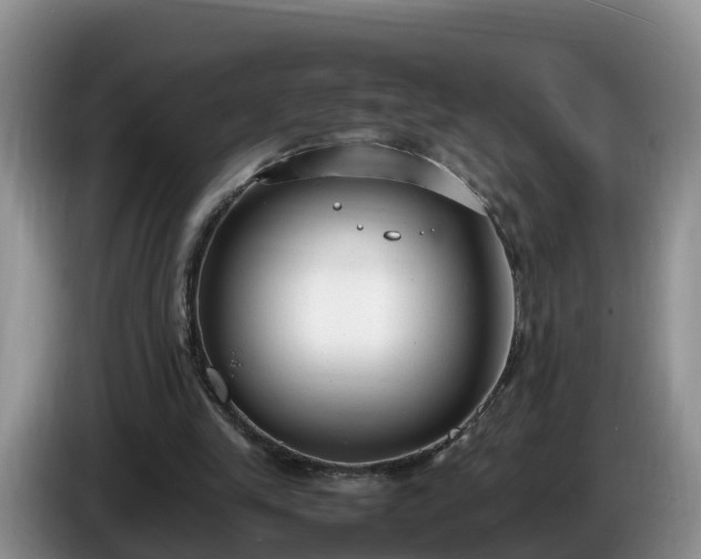 X0000086240245200704051225