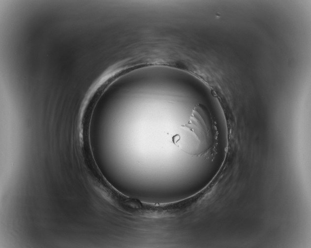 X0000086240246200704051225
